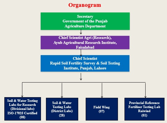 Organogram